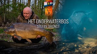 Het Onderwaterbos