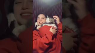 Kucing kesayangan ❤️ #Shorts #Viral #Trending #Tiktok #Gaming