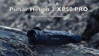 Pulsar Helion 2 XP50 PRO - first video from device