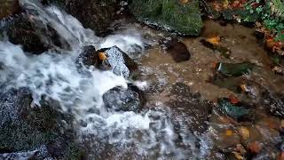 Piano and Nature: Best Relaxing