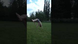 We OUTSIDE with the combos #stunts #trickingcombo #parkour #freerunning #gymnast