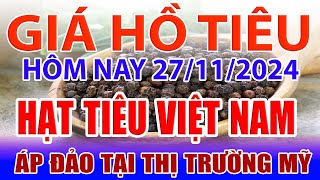 Giá tiêu hôm nay 27/11: hạt tiêu Việt Nam áp đảo tại thị trường Mỹ