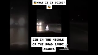 JIN IN THE MIDDLE OF THE ROAD _SAUDIARABIA#SCARY VEDIO