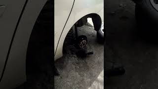 vios2011(toyota)changr brakeshoe&wheelbearing