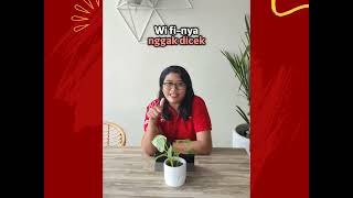 MAU LAPOR GANGGUAN INDIHOME TAPI BINGUNG?YUK LIAT VIDIO INI