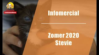 Infomercial DierenLot - Stevie zomer 2020