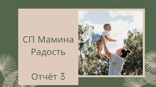 СП Мамина Радость отчёт 3