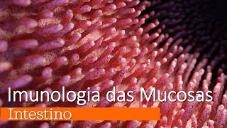 Imunologia das Mucosas - Intestino