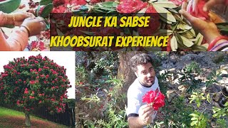 जंगल में मिला कुछ  ऐसा  😱 😱  || JUNGLE KE PHOOLON SE BNAI HEALTHY CHATNI || #vlog #junglevlogs