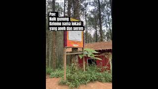 Jalur pendakian paling serem di gunung andong #shorts #pendaki #gunung