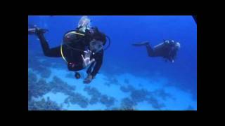 Sharm El Sheikh Diving