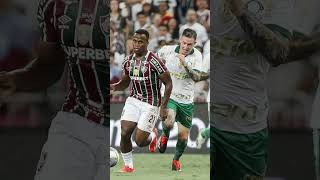 CONFRONTOS QUE VÃO DEFINIR O TITULO DO BRASILEIRÃO 2024! #flu #botafogo #palmeiras #saopaulo  #gols