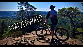 MTB Enduro Tour im Pfälzerwald