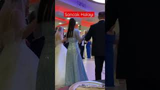 Boşnak Düğünü Sancak Halayı #turkey #boşnak #düğün #viral #viralshorts #shorts #video