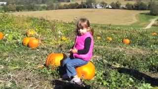 At the Pumpkin Patch