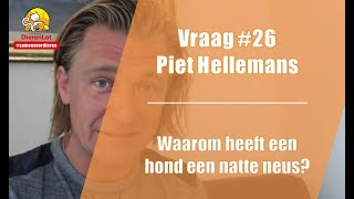 Vraag #26 DierenLot - Piet Hellemans - Waarom heeft een hond een natte neus?