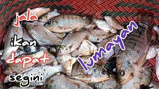 jala ikan dapat segini lumayan dari pada beli