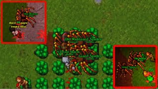 Old Tibia - EK 148 LURING OLD WIDOW - MASS KILL (ASTERA - TIBIA 7.72)