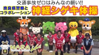 【トヨタ×奈良県警察】神経シゲキ体操 PR篇