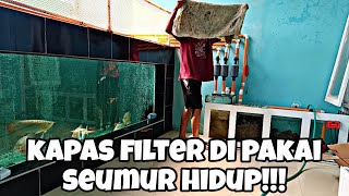 Kapas Putih Filter Aquarium terbaik bisa di cuci berkali kali.Perawatan MAYIN CASHMERE