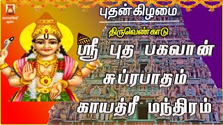 WEDNESDAY SPL | THIRUVENKADU | SRI BUDHA BHAGAVAN SUPRABHATHAM | BUDHA PARIHARA STHALAM | NAVAGRAHAM