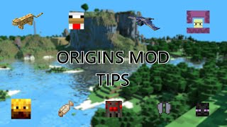 Tips for Each Origin: Minecraft Origins