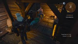 The Witcher 3 Wild Hunt Ps5 Bölüm 6