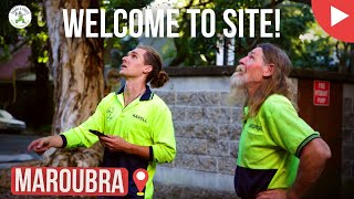 Welcome to Site - Sydney - Shanes Trees