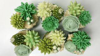 Buttercream Succulent and Cactus Cupcakes (visit anhbakes.com for recipes)