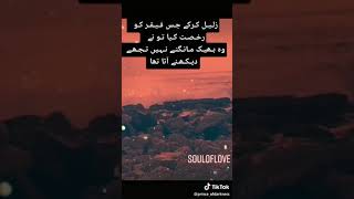 Tik tok Saddest Poetry || Whatsapp status || broken status