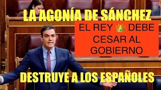 🛑ÚLTIMA HORA🛑LA AGONÍA DE SÁNCHEZ DESTRUYE A ESPAÑA 🇪🇸 ‼️SIN PRESUPUESTOS ‼️‼️