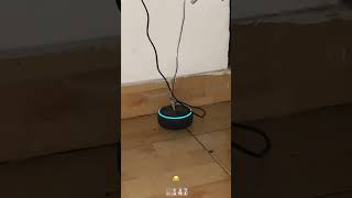 #alexa