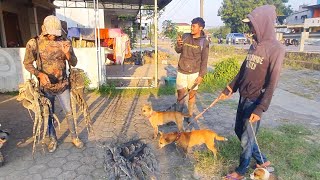 POIN BELASAN BIAWAK‼️ Ngajarin anakan anjing Berburu