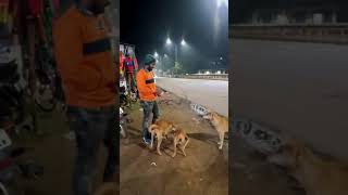 Feeding Time ❤️// Street Dog 🐶 // Animal love❤️😍// Dog Love🐕