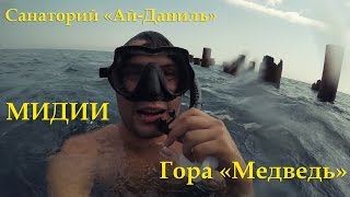 Гурзуф / Ялта / Гора "Медведь" / Ай-Даниль / Жарим мидии