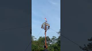 DETIK-DETIK MENEGANGKAN! Sebelum  sampai ke puncak panjat pinang🥳🇮🇩 #shortvideo #panjatpinang