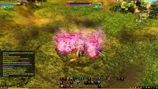 ArcheAge 01 23 2014   17 51 54 06