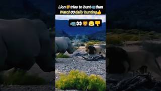 Lion🦁vs rhino🦏😱 | Lion attacks rhino | rhino vs lion | @Wildshikaari007