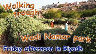 Thoughts About Saudi Arabia and How to Spend Weekend in Riyadh / Afternoon Walk along Wadi Namar