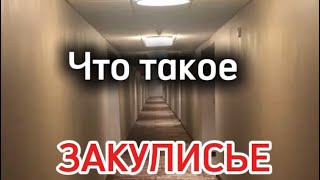 🤯Что такое ЗАКУЛИСЬЕ. И как туда попасть