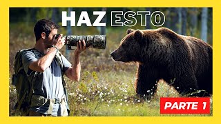 ¿Cómo hacer FOTOGRAFÍA DE FAUNA SALVAJES en FINLANDIA?🐻