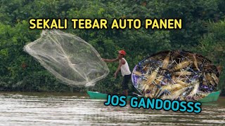 TANGKAP UDANG GALA DENGAN JALA HASIL NYA JOS GANDOS