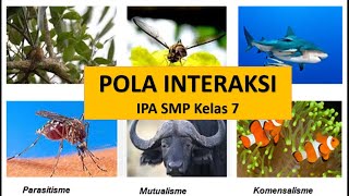 INTERAKSI MAHLUK HIDUP DENGAN LINGKUNGANNYA : IPA KELAS 7 SMP