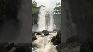 Best waterfall near mumbai 🌴 #dhangar #waterfall #monsoon #mumbai #dam  #badlapur #kondeshwar