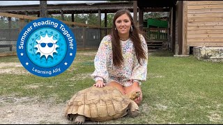 Learning Ally’s Tails and Tales with Kenzie Noland: Tortoises and Turtles Have Tails