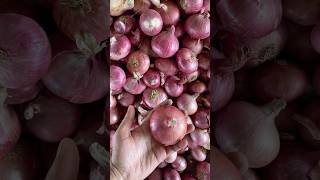 Onion Export & Domestic-:  नाशिक कांदा