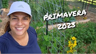 Horta Orgânica em Pequeno Espaço 🥦 🌻Primavera 2023