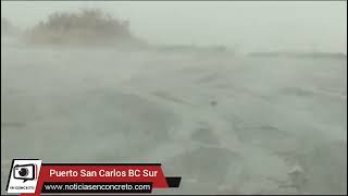 #BajaCaliforniaSur Estampa estos Momentos, en el Puerto. San Carlos 🌀🌩️🌪️#Hilary #Huracán #Video