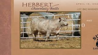 Hebbert Charolais | April 13, 2024