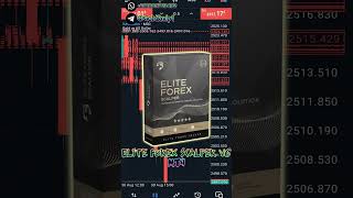 Elite Forex Scalper EA V6.20 MT4 Automated Forex Robot FREE DOWNLOAD الاكسبرت الأكثر ربحا في الفوركس